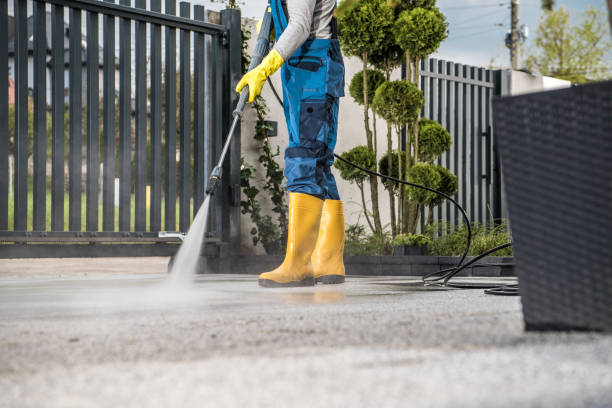 Best Soft Washing for Delicate Surfaces in Greensburg, KY